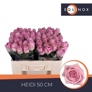 R GR HEIDI!