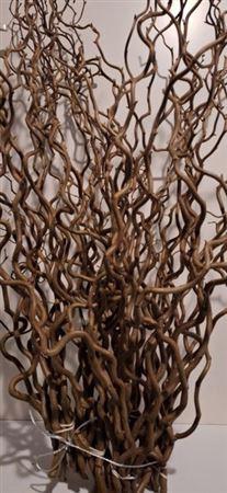 <h4>T Coryl Av Contorta 100cm</h4>