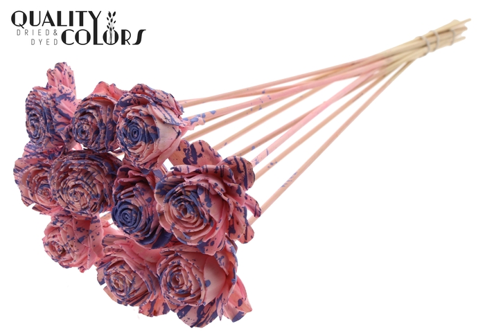Shola Beauty Rose 6cm on stem Splashed Pink/Milka