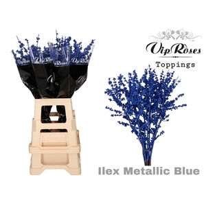 ILEX METALLIC BLUE 80 cm