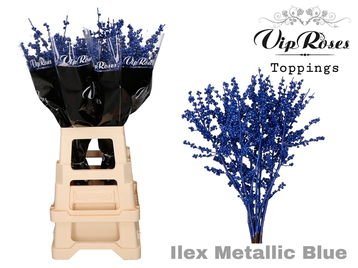 <h4>Ilex Metallic Blue 60 Cm</h4>