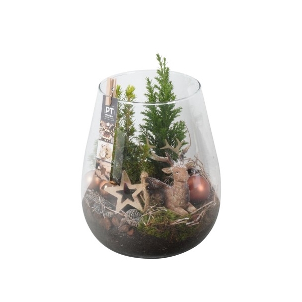 <h4>PTCWW2732 Arrangement Winter in glas vaas</h4>