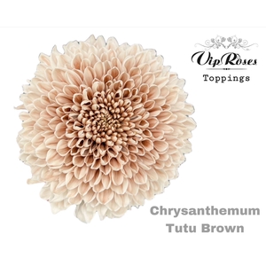 CHR G Paint TUTU BROWN