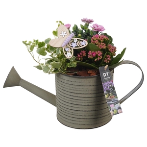 PTPP6823 Arrangement Patio in metalen gieter