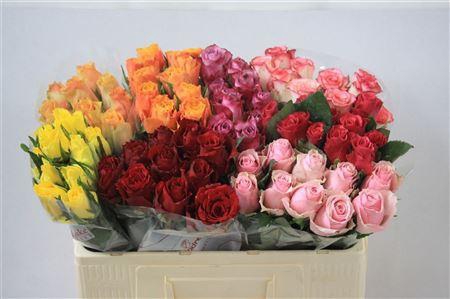 <h4>R Gr Gemengd In Fust</h4>