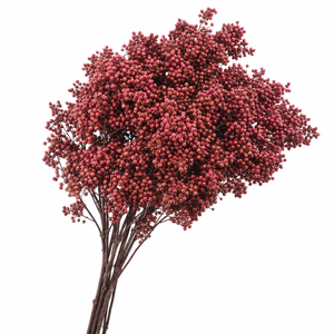 Dried Pepper Berries Burgundy
