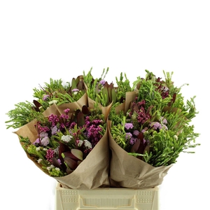 Kaaps Bq Wild Flower