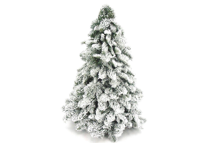 <h4>Kerstboom Nobilis Sneeuw 80</h4>