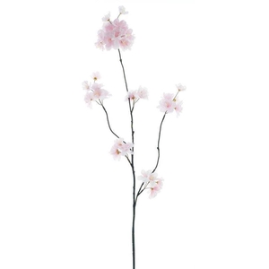 (Best) Prunus Malaga spray pink 84c