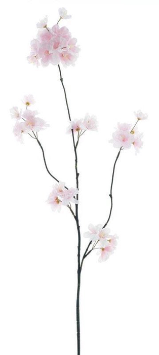<h4>(Best) Prunus Malaga spray pink 84c</h4>