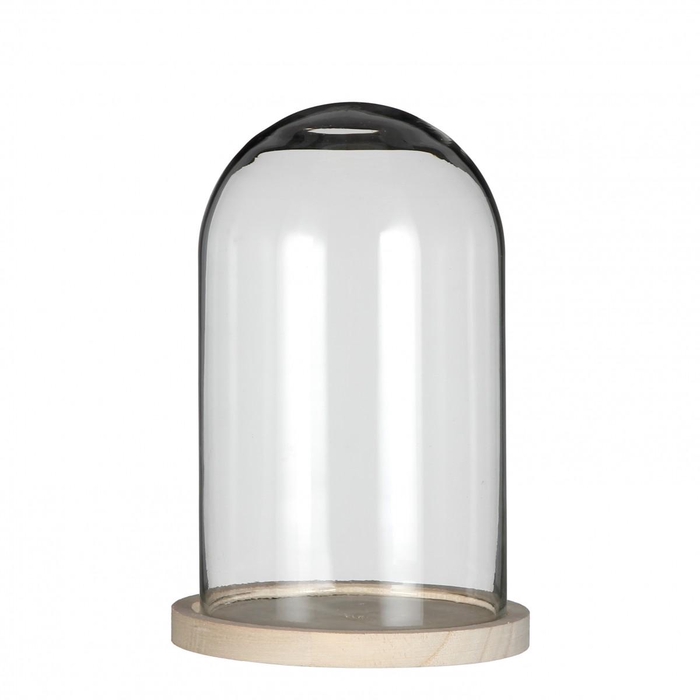 <h4>Glass Cloche Wood d12/14*21cm</h4>