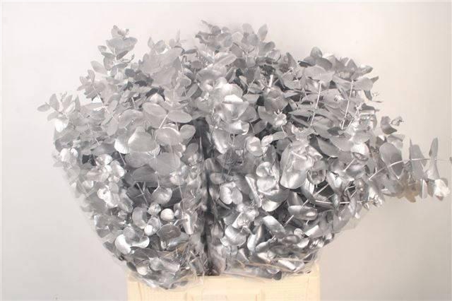 <h4>EUC CIN KLB P BOS H%</h4>