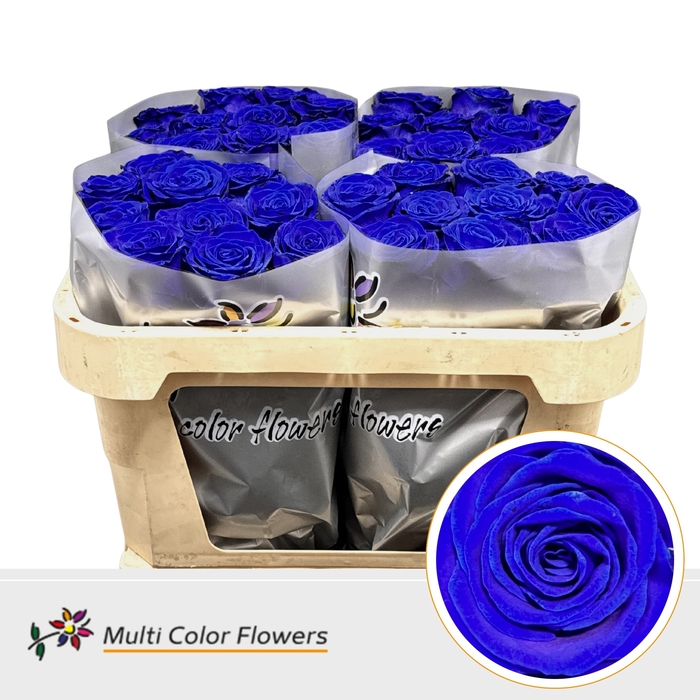 <h4>Rosa Gr. Blauw Donker</h4>