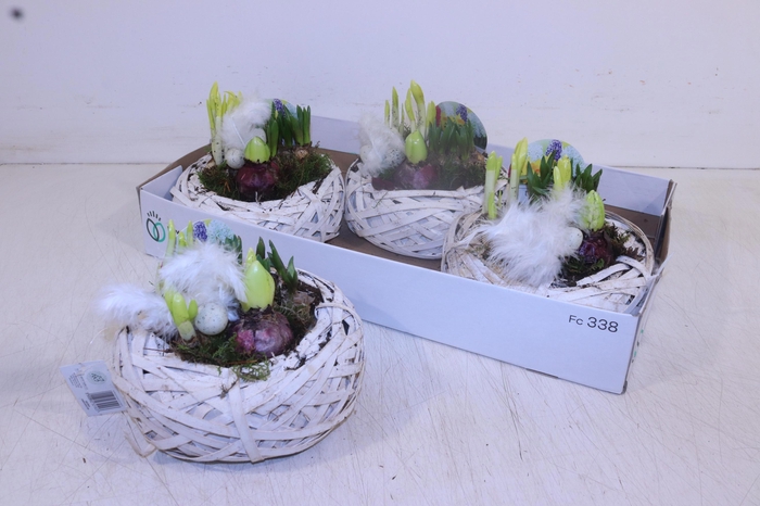 <h4>ARR BOL KNOLGEWAS</h4>