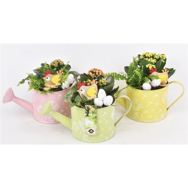 Zink gieter decor mix 13cm