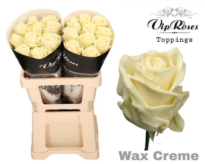 <h4>R Gr Wax Creme (60cm)</h4>