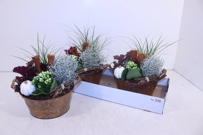 <h4>ARR TUINPLANTEN</h4>