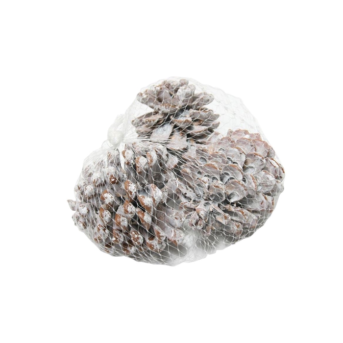 <h4>Pinecone Pinea 3 Pcs L9</h4>