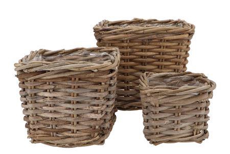 <h4>Rattan Ivy Basket Square S/3 W15/20/25 H13/18/22 N</h4>