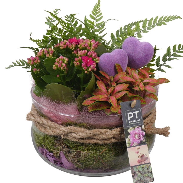 <h4>Arr.    Planten  L%</h4>