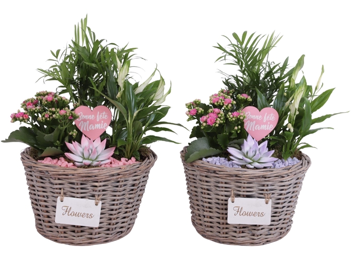 <h4>Grandmothers Day Arr. Indoor Willow Basket Flowersign Ø27cm 4PP</h4>