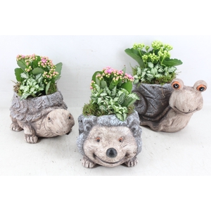 arr2 TD - Dierenmix - roze/wit
