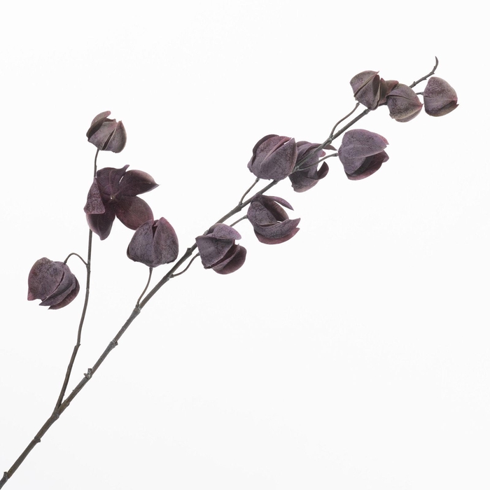 <h4>Physalis Spray Purple LV330171PRP</h4>