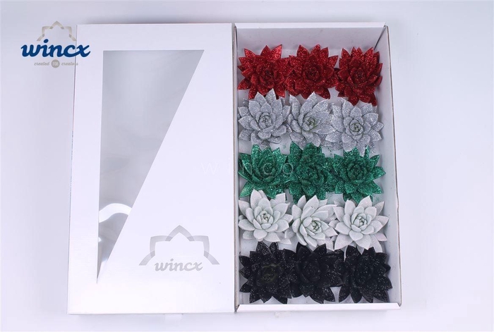 Echeveria Glitter Christmas Mix (wincx) Cutflower