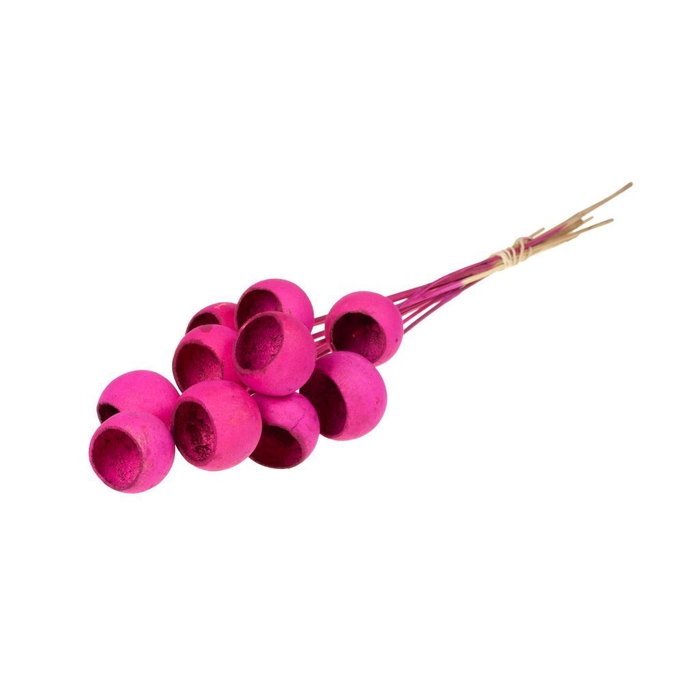 <h4>Bell cup o/s 10pc cerise</h4>