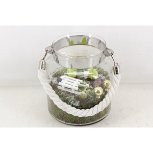 arr4 Hyacint JS - Glas dik touw wit