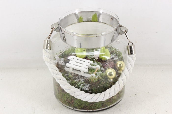 <h4>arr4 Hyacint JS - Glas dik touw wit</h4>