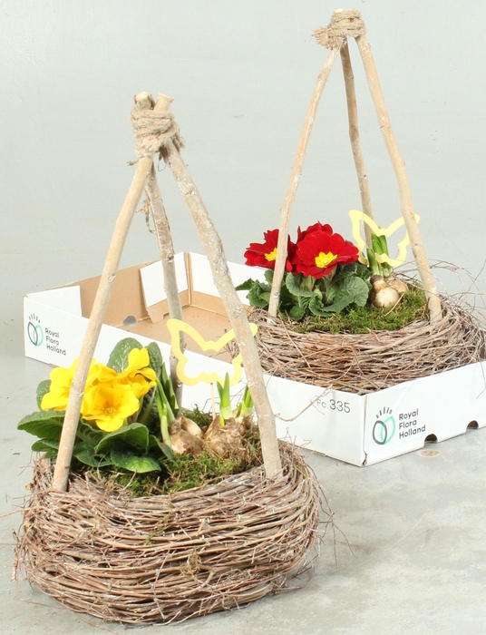 <h4>ARR TUINPLANTEN</h4>