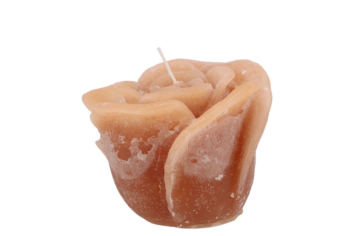 <h4>Candle Roos New Oker 8x7cm</h4>