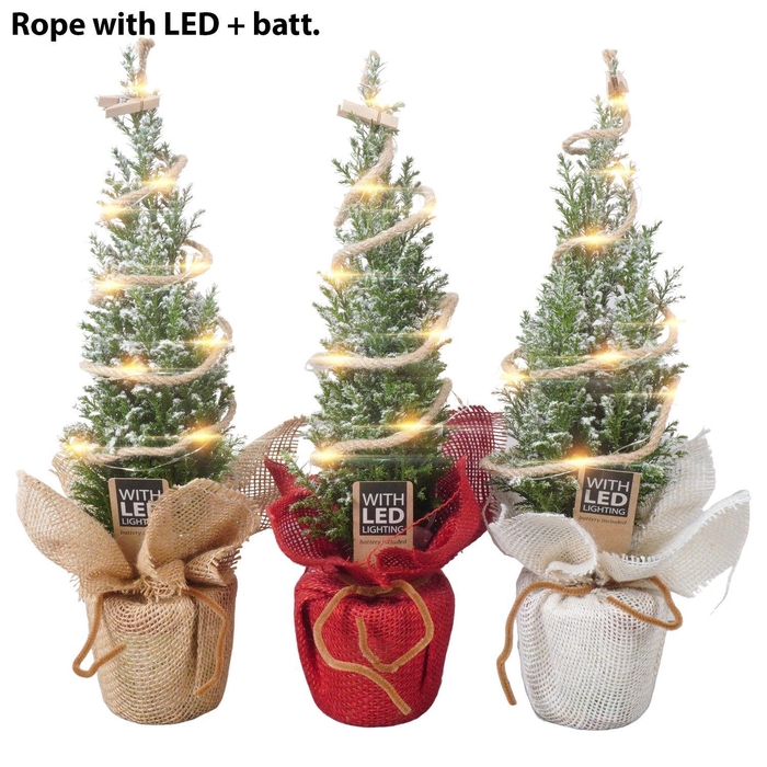 <h4>PTK25132 Ellwoodii met sneeuw in jute mix met LED</h4>