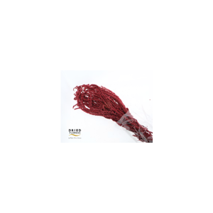 Amaranthus Preserved Wine Red