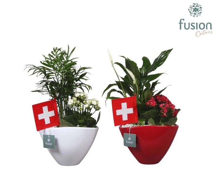 <h4>Keramieken pot rood en wit met Arrangent en de vlag van Zwitserland</h4>