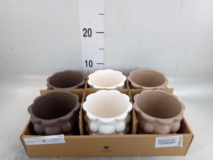 <h4>Pot   ...Keramische H%</h4>
