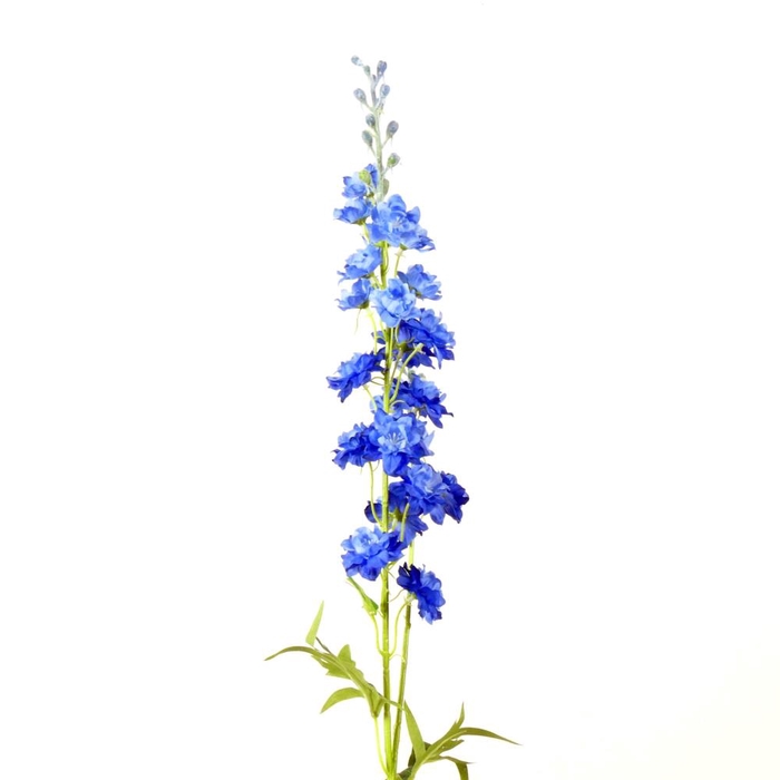 AF Delphinium L85cm D.Blue
