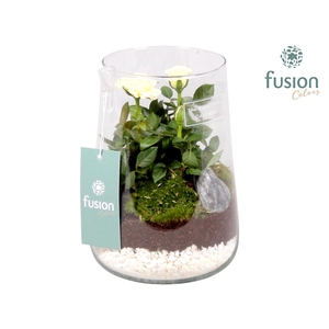 Green Bottle Deline Medium met Potroos