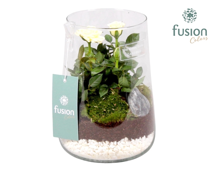 <h4>Green Bottle Deline Medium met Potroos</h4>