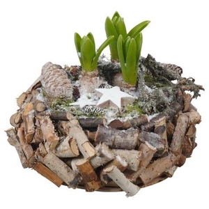 Opm Pt PTWH7749 Winter Hout Bak