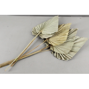 DF Palm Spear Large Natural