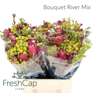 Bouquet River Mix