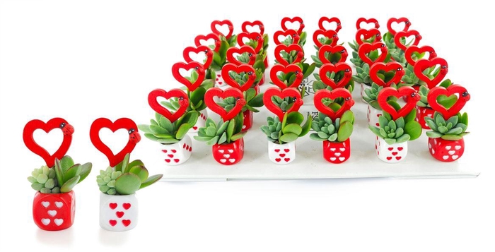 <h4>Arrangementen succulenten 6%</h4>