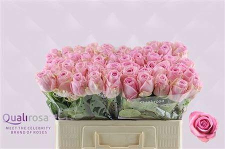 <h4>R Gr Heidi!</h4>