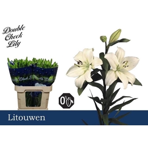 LI LA LITOUWEN