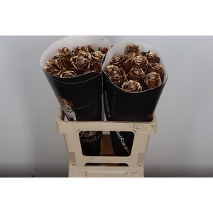 Wax-Rozen Wax Goud w23