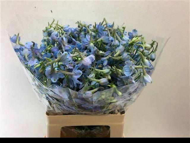 <h4>DELPH EN BALLKLEID</h4>