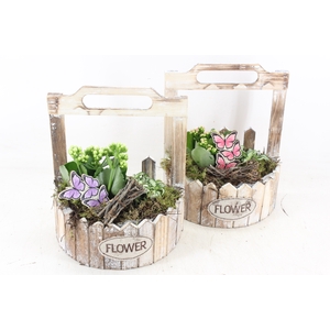 arr2 TD - Hout planter half rond - roze/wit