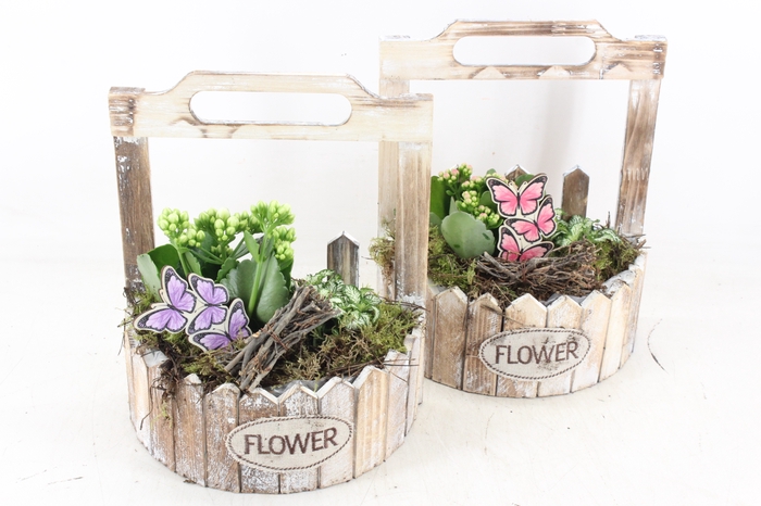 <h4>arr2 TD - Hout planter half rond - roze/wit</h4>